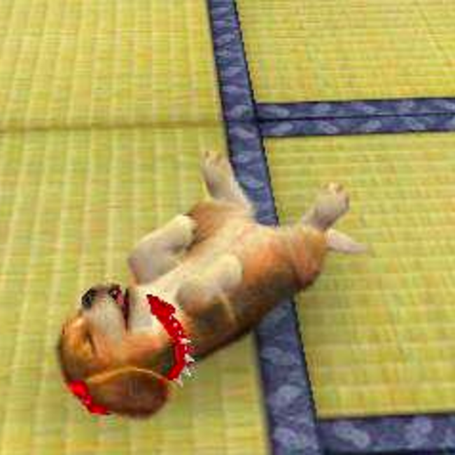 野臣のカバー写真