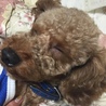 寝てる♥️