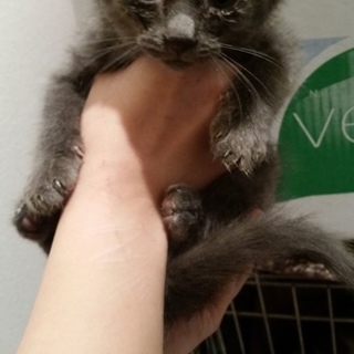 甘え上手な男の子です！