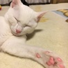 の写真