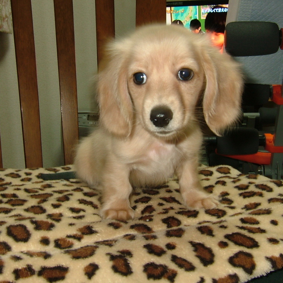 空のカバー写真