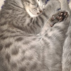 遊び疲れて、寝る