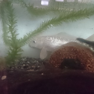 ☆良縁に恵まれました☆