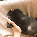 一旦応募stopさせていただきます。