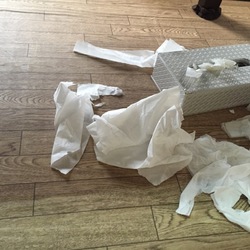 「他人事ではなかった(ｰｰ;)」サムネイル1