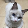 ✳︎アマリ✳︎