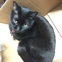 ジュン