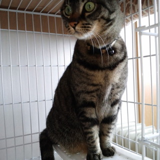 彼女の休み場求めています