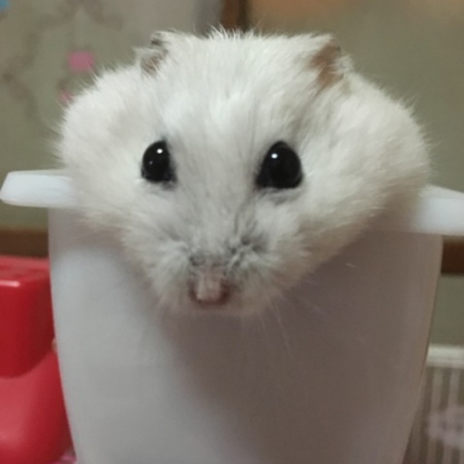 ゆんち(’-’*)♪のカバー写真