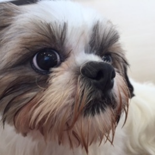 お茶目なエリアです