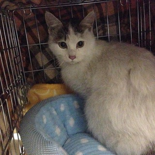 可愛い良いこです♡