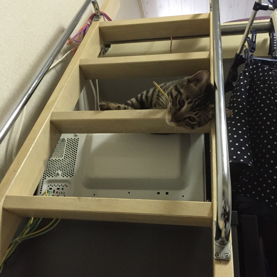 ソルのカバー写真