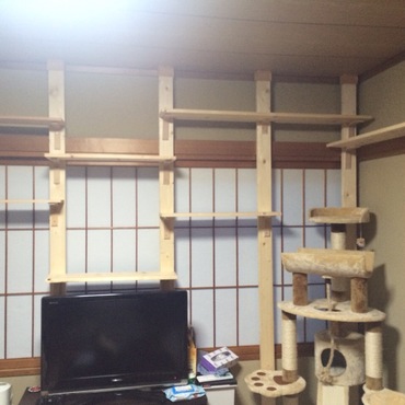 キャットウォーク作成！