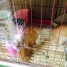 の写真