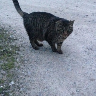 ぷにぷにおじーちゃん♡