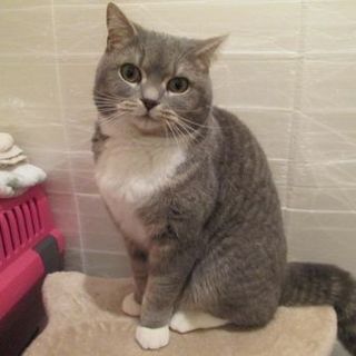 一時停止させていただきます。アビーちゃんです