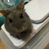 なーに？