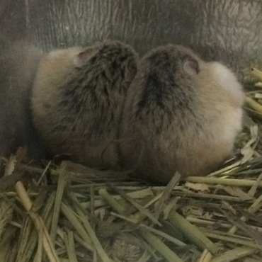 仲良し(^-^)