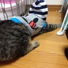 まろちゃん何してるのさ