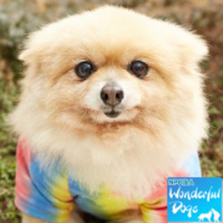 「ショコラティ・ココ」♀