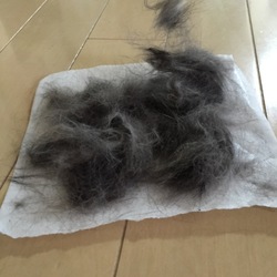 「ネズミちゃん２匹」サムネイル1