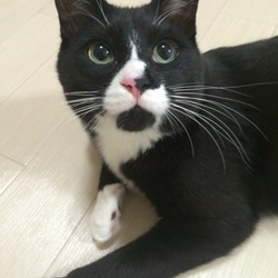 「オハナノヒミツ」サムネイル1