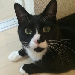 「オハナノヒミツ」サムネイル2