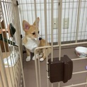 早速多数の応募ありがとうございます