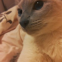 ハク様