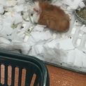 よろしくおねがいします