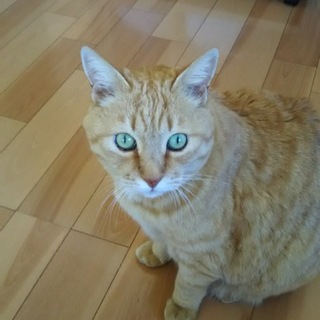 食いしん坊のおデブさん食う寝る遊ぶがモットーです。