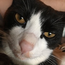 笑われてしまいました