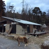 Satoyama