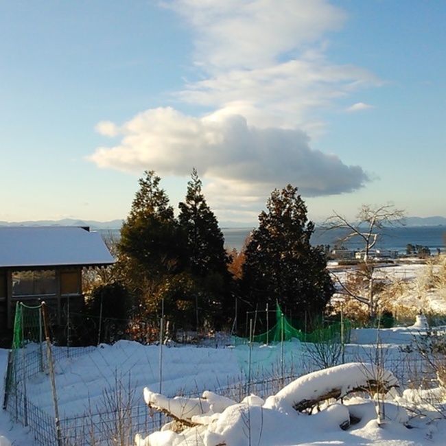 Satoyamaのカバー写真