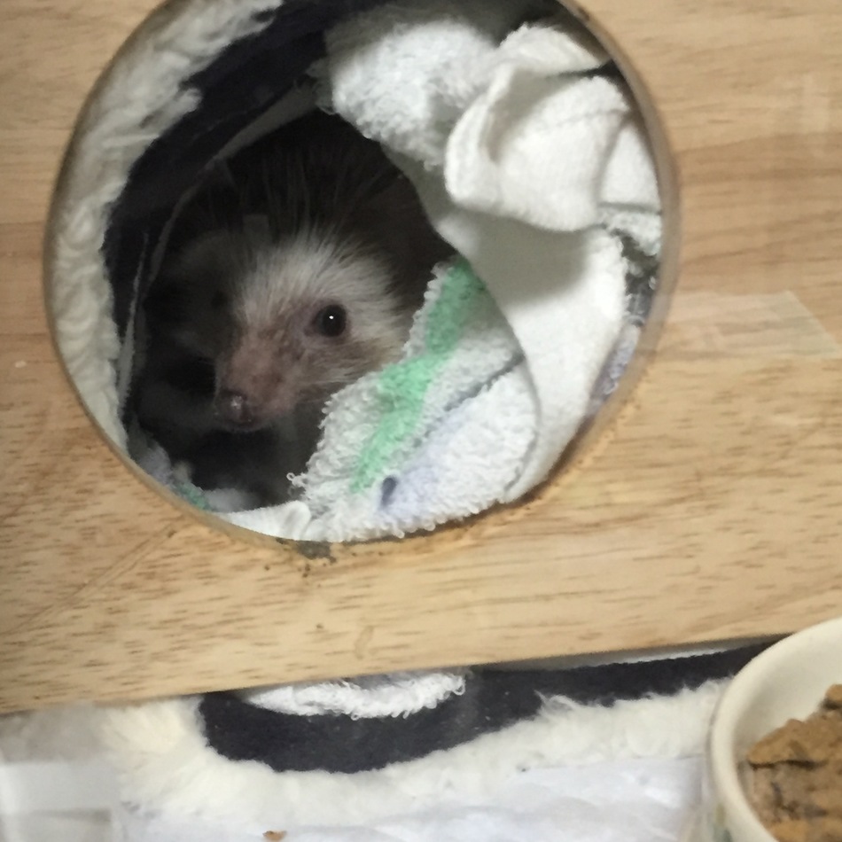 ルートのカバー写真