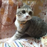 の写真