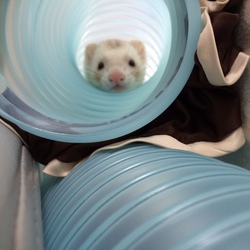 我が家のちっちゃな怪獣さん