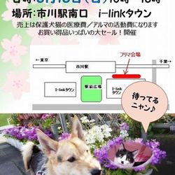 千葉県・市川駅前フリマ サムネイル1