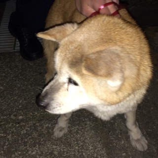 交渉はいりました