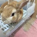 再度 募集します