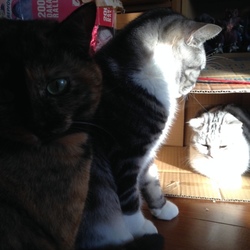 ぴかちゃんが輝いて見える～！