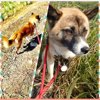 【素敵な家族が見つかりました♪】