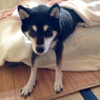 【素敵な家族が見つかりました♪】