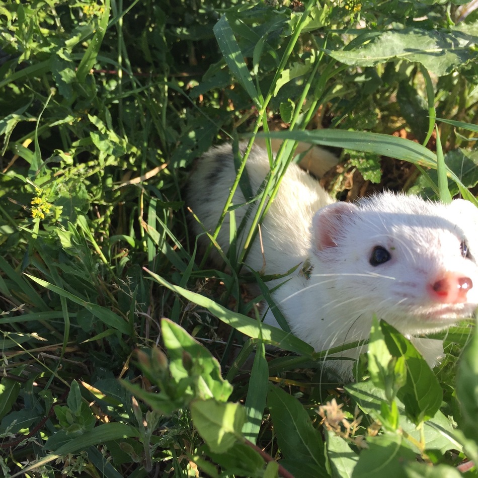 Biancaのカバー写真