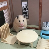 金太郎