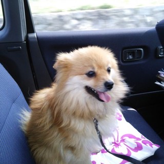 甘えん坊さんです！