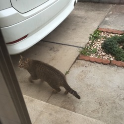 「対策」サムネイル1