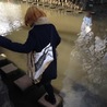 みみ吉