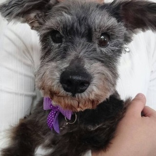 人もワンコも大好きな男の子♪