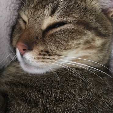 の写真